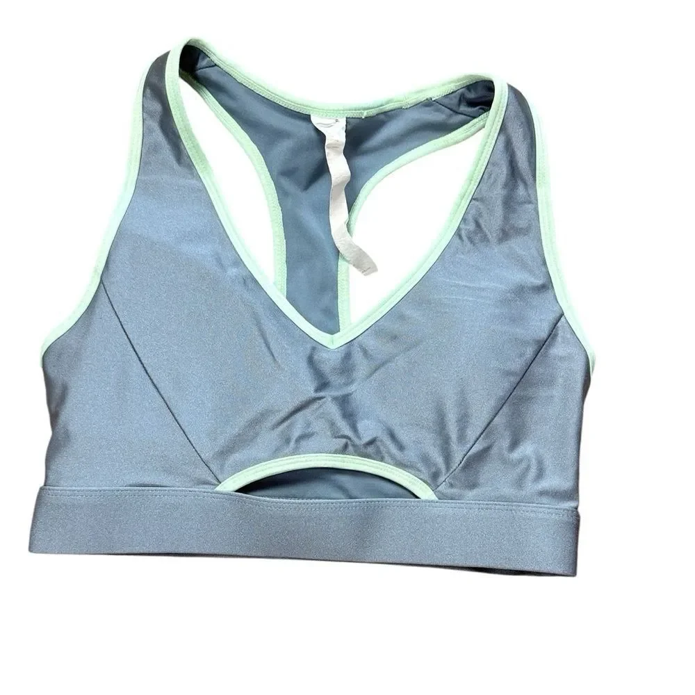 Fabletics Shimmery Silver & Sage Green Sports Bra